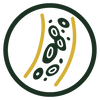 Immune & Blood icon