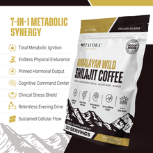Vitavora Wellness Himalayan Wild Shilajit Coffee infographic layout displaying 7-in-1 metabolic synergy features including cognitive focus and physical stamina next to the product pouch packaging.